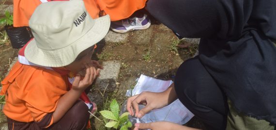 Visit To Campus TK Se- Kecamatan Banjarmangu Kabupaten Banjarnegara